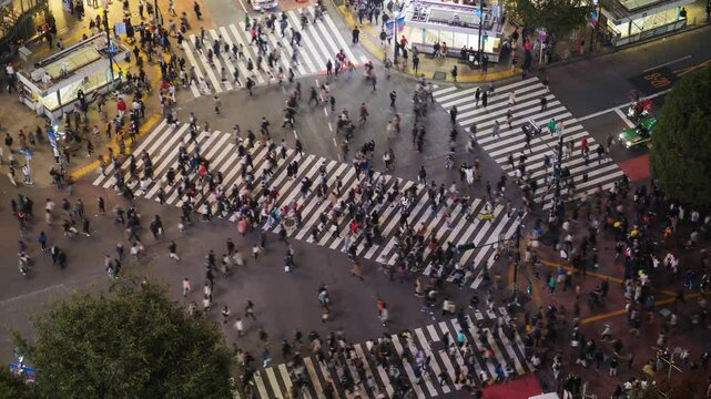 Remarkable pedestrian crossing of Tokyo, time lapse of busy Shibuya intersection at evening hour, view from high point. Car traffic pass by and street crosswalk filled with crowds of people