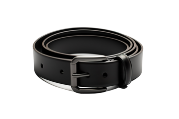 The Silver Serpent: A Black Belts Unveiling on White or PNG Transparent Background.