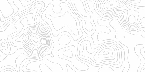 The stylize topography landscape grid map and counter wave line geometric wire outline area design. nature strip diagram topographic creative concept discovery line map texture background.