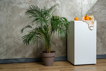 Open Refrigerator With Fresh Produce and Mesh Bag in Kitchen