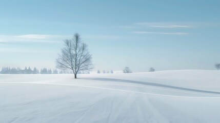 Obraz premium A lone bare tree stands in a vast, pristine snowy field under a clear blue sky. Snow-covered hills and distant trees create a serene, winter landscape. Shadows stretch on the snow.