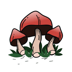 Illustration of three mushrooms surrounded by grass