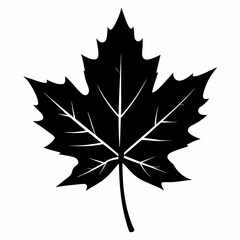 Fototapeta premium Autumn maple leaf vector illustration, leaf house vector art, autumn maple leaf silhouette, autumn maple leaf cartoon vector icon