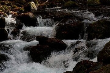 山の奥の渓流の涼しい風景