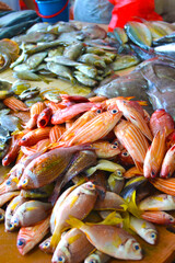 Fresh Seafood Market in Papua New Guinea