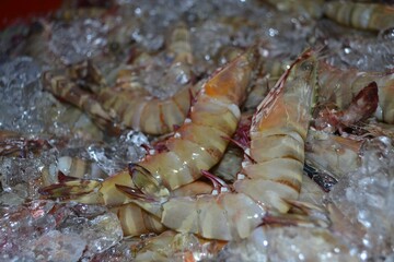 Fresh Seafood in Mersing, Malaysia