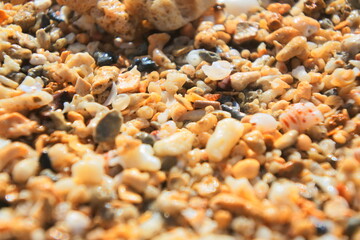 sand