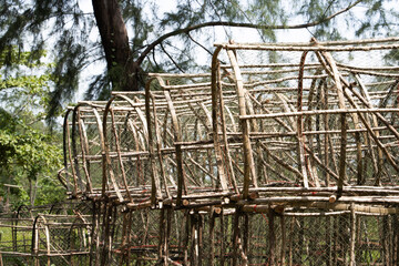 Fish traps piled up on the shore