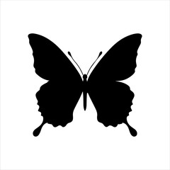 Silhouette of butterfly on white background. Butterfly icon sign vector illustration design.