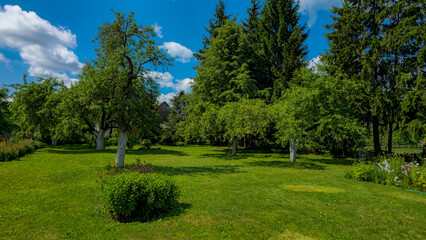 a lush green garden or park under a clear blue sky with some scattered clouds.
