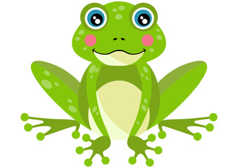 Cute green frog isolated on white