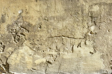 texture of old wood