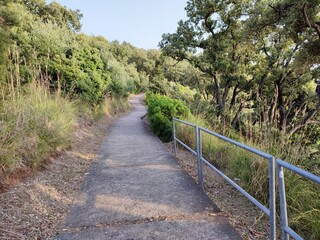 Maratea - Sentiero che scende verso Cala Jammita
