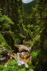 Waterfall in the mountains
