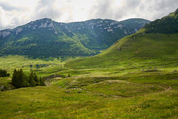 Fototapeta premium Summer alpine landscape