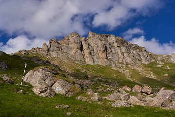 Summer alpine landscape