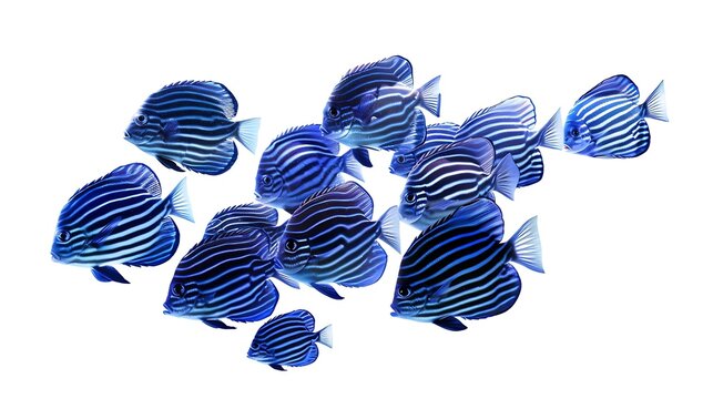 Shool of blue tropical striped fish in the ocean isolated on white background Caesio Striata Striated Fusilier swimming deep underwater in Red Sea Flock of tropical blue fish cut out : Generative AI