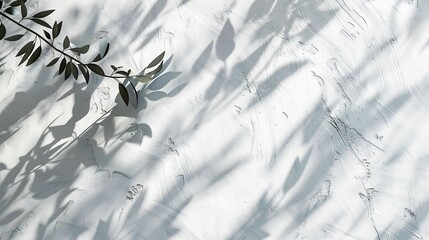 Light and shadow of leaf abstract grey background Natural shadows and sunshine diagonal refraction on white concrete wall texture Shadow overlay effect for foliage mockup banner graphi : Generative AI