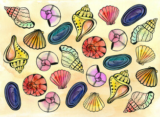 A set of shells of different shapes and colors on a sandy ocher background. Watercolor and black...