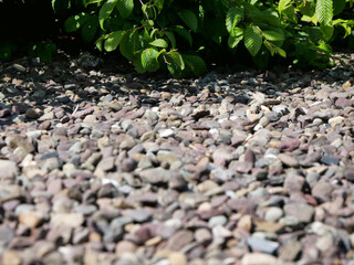 Stone ground pattern, natural stone texture, ground pavement background