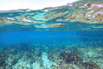 美しい式根島の神引浦の海と100mの断崖絶壁の半水面撮影。

東京都伊豆諸島式根島 - 2021年3月
