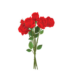 Red Rose illustration, flower drawing.   Flower bouquet design and background. Vector arrangements for greeting card or invitation design. Set of floral branch, green leaves. Colorful  Wedding concept