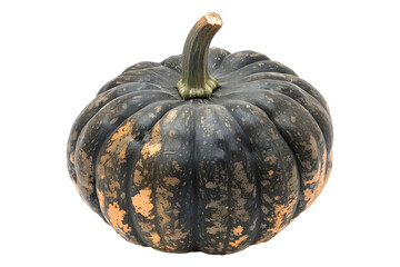 Big max pumpkin with a green stem isolated on a white background, great for autumn themes and decorations