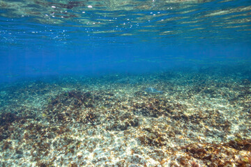 美しい式根島の神引浦の海と100mの断崖絶壁の半水面撮影。

東京都伊豆諸島式根島 - 2021年3月
