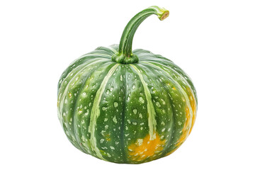buttercup squash isolated on a white background, great for autumn themes and decorations.