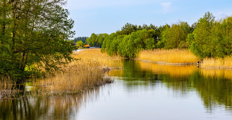 Summer deeds and bushy shores of Elk river at Jezioro Elckie Lake in Barany neighborhood of Elk town in Mazuria lakeland region of Poland