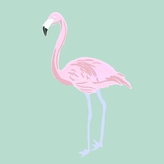 pink flamingo on white background