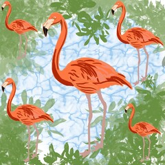 flamingos in the water