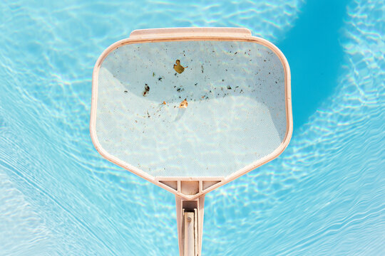 Close-up of a pool skimmer removing leaves from water