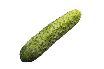 Cucumber isolated