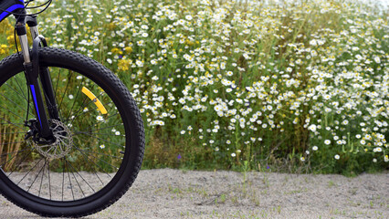 Fototapeta premium front wheel of a mountain bike. camomile field. bike stands on the road in the field. bike on a field path. blooming summer field, meadow flowers, sunny day. ride a bike. outdoor activities