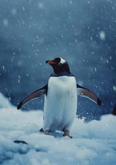 Fototapeta premium In the icy expanse of Antarctica