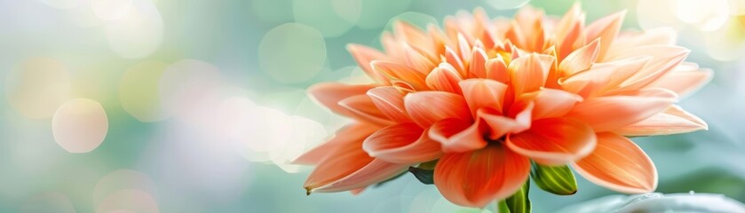 Obraz premium Closeup of a flower bloom in a greenhouse, detailed and vibrant, peaceful natural elements