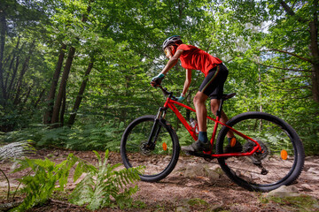 Adventurous cyclist kid navigating a forest path on red bike