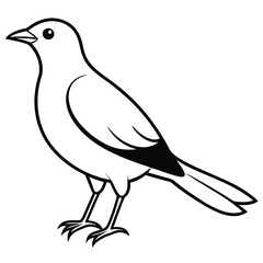 bird silhouette vector style with white background