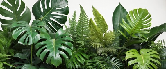 Tropical foliage with lush monstera and ferns creating a vibrant, green jungle atmosphere  perfect for nature, botany, and garden themed uses