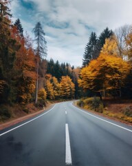 Fototapeta premium Road in autumn forest, colorful trees and leaves lining a route. Fall landscape. 