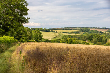 Fototapeta premium A rural Sussex farm landscape, on a summer's afternoon