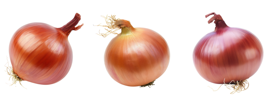 set of onion isolated on transparent background