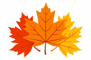 Fototapeta premium Elegant vector art illustration design of autumn maple leaves in vibrant fall colors