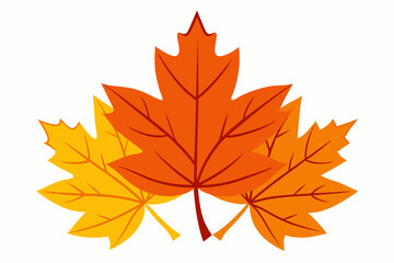 Fototapeta premium Elegant vector art illustration design of autumn maple leaves in vibrant fall colors