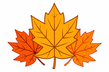 Elegant vector art illustration design of autumn maple leaves in vibrant fall colors