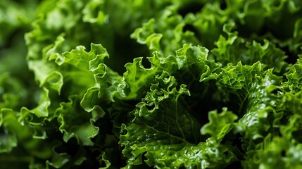 Detailed close-up of fresh lettuce leaves, captured with exceptional clarity to showcase their texture and freshness