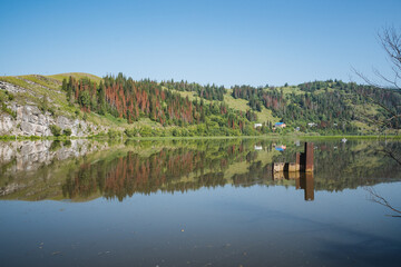 Obraz premium Imagine a serene landscape with a beautiful lake surrounded by towering mountains, reflecting trees on its tranquil surface, creating a mesmerizing view of natures beauty