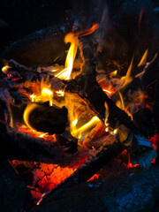  bonfire with branches at night in the forest. tongues of fire. flames of fire. night fire