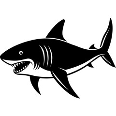 shark isolated on a white background 